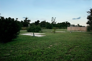 The Park